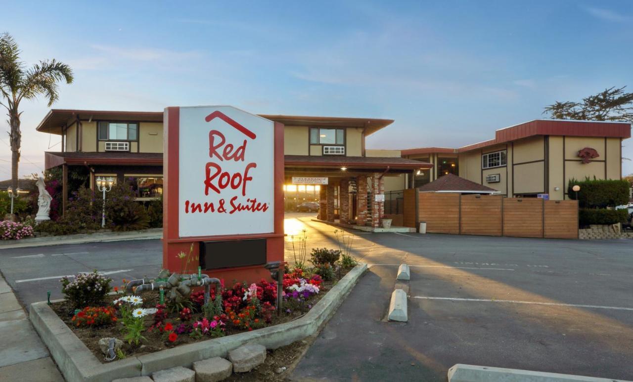 Red Roof Inn & Suites מונטריי מראה חיצוני תמונה